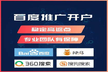 某行业领军企业的SEM广告投放策略